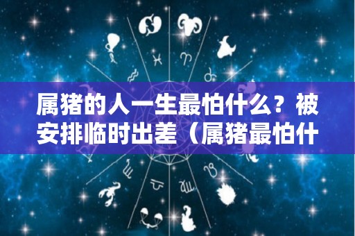 属猪的人一生最怕什么？被安排临时出差（属猪最怕什么月份出生）