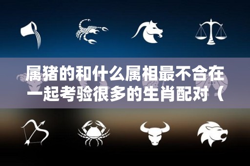 属猪的和什么属相最不合在一起考验很多的生肖配对（属猪的和什么属相不合婚）