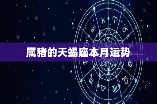 属猪的天蝎座本月运势