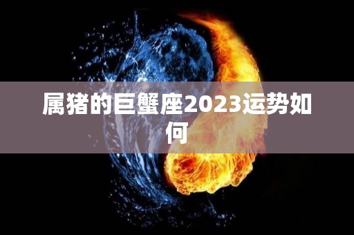 属猪的巨蟹座2023运势如何