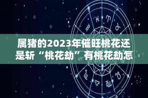 属猪的2023年催旺桃花还是斩“桃花劫”有桃花劫怎么办（属猪2022年烂桃花）