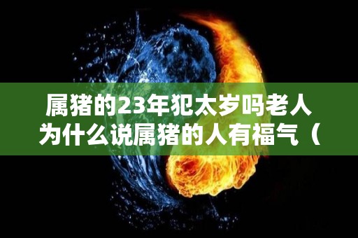 属猪的23年犯太岁吗老人为什么说属猪的人有福气（属猪在2022年会犯太岁）