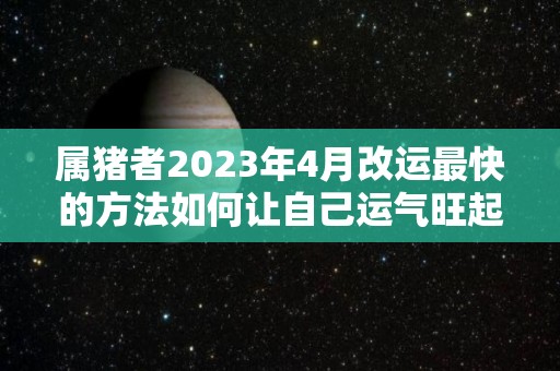 属猪者2023年4月改运最快的方法如何让自己运气旺起来（属猪在2023年的运程是怎么样）