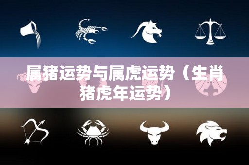 属猪运势与属虎运势（生肖猪虎年运势）