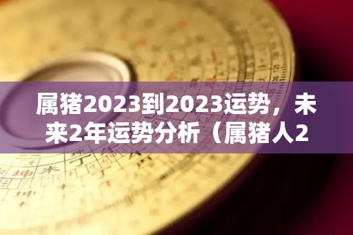 属猪2023到2023运势，未来2年运势分析（属猪人2023年运势运程每月运程）