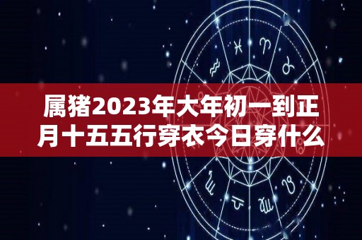 属猪2023年大年初一到正月十五五行穿衣今日穿什么颜色旺运（2020年属猪的要穿什么颜色）