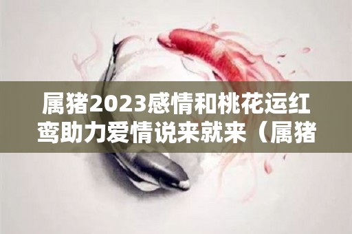 属猪2023感情和桃花运红鸾助力爱情说来就来（属猪的2023年运势和财运怎么样）