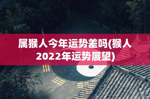 属猴人今年运势差吗(猴人2022年运势展望)
