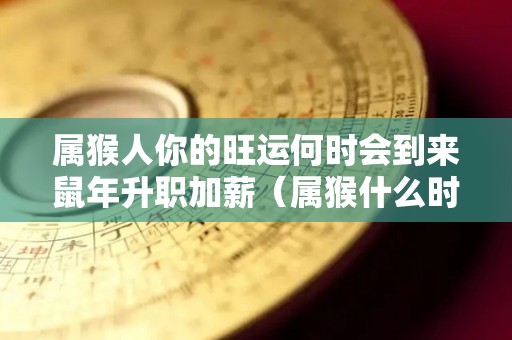 属猴人你的旺运何时会到来鼠年升职加薪（属猴什么时候可以转好运）