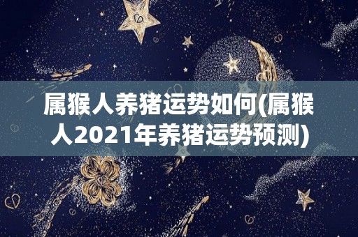 属猴人养猪运势如何(属猴人2021年养猪运势预测)