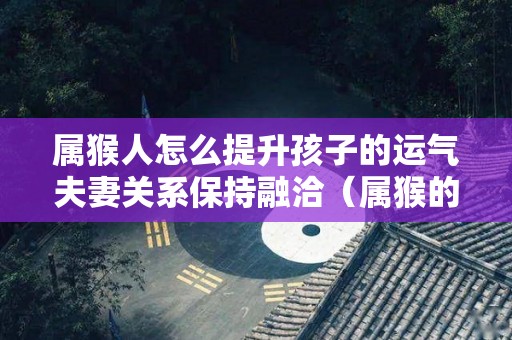 属猴人怎么提升孩子的运气夫妻关系保持融洽（属猴的人子女适宜属什么）
