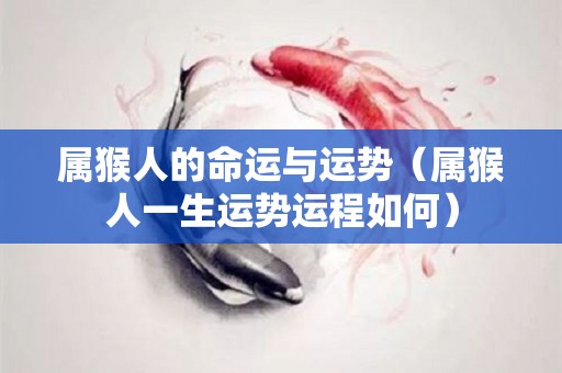 属猴人的命运与运势（属猴人一生运势运程如何）