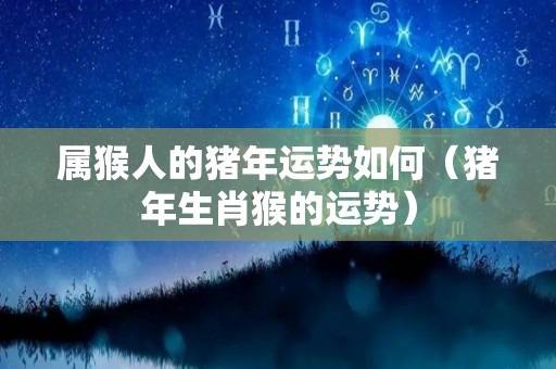 属猴人的猪年运势如何（猪年生肖猴的运势）