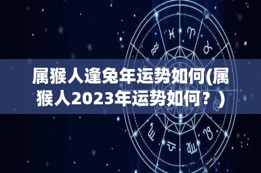 属猴人逢兔年运势如何(属猴人2023年运势如何？)