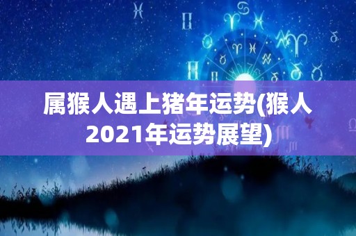 属猴人遇上猪年运势(猴人2021年运势展望)