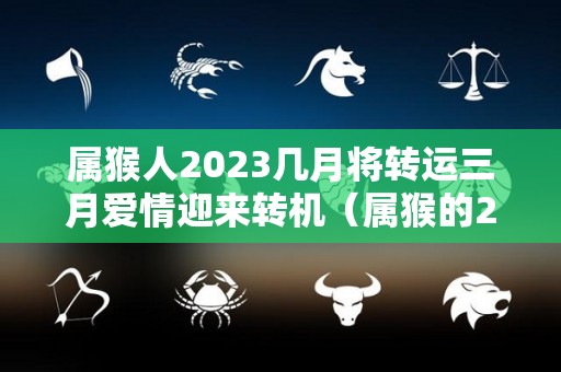 属猴人2023几月将转运三月爱情迎来转机（属猴的2023年每月运势及运程）
