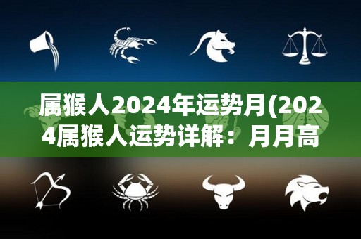 属猴人2024年运势月(2024属猴人运势详解：月月高潮，打造财富之路！)