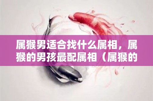属猴男适合找什么属相，属猴的男孩最配属相（属猴的男生找对象找属什么的最好）
