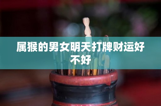 属猴的男女明天打牌财运好不好