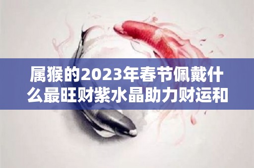 属猴的2023年春节佩戴什么最旺财紫水晶助力财运和爱情（属猴的2021年应该戴什么）