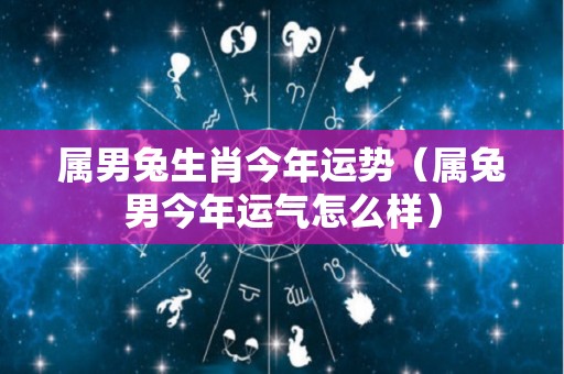 属男兔生肖今年运势（属兔男今年运气怎么样）