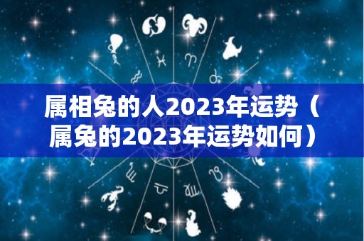 属相兔的人2023年运势（属兔的2023年运势如何）