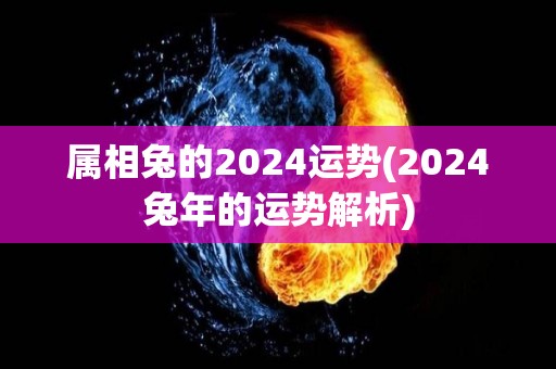 属相兔的2024运势(2024兔年的运势解析)