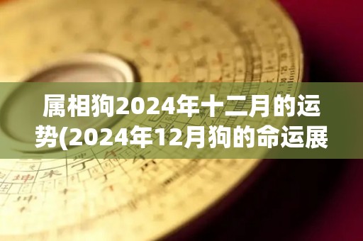 属相狗2024年十二月的运势(2024年12月狗的命运展望)