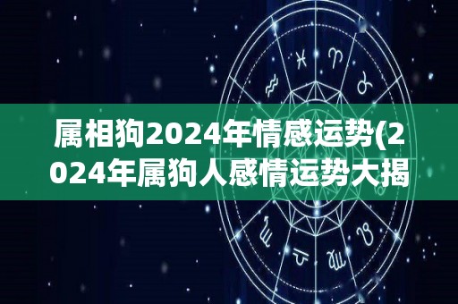 属相狗2024年情感运势(2024年属狗人感情运势大揭秘)