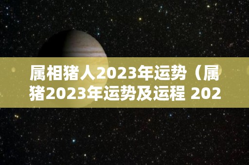 属相猪人2023年运势（属猪2023年运势及运程 2023年属猪人的全年每月运势）