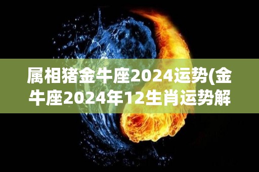 属相猪金牛座2024运势(金牛座2024年12生肖运势解析)