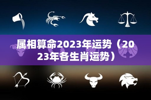 属相算命2023年运势（2023年各生肖运势）