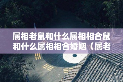 属相老鼠和什么属相相合鼠和什么属相相合婚姻（属老鼠的和哪些属相合）