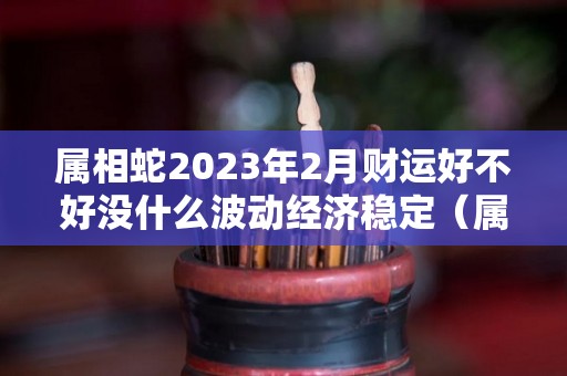 属相蛇2023年2月财运好不好没什么波动经济稳定（属蛇人在2023年运气怎么样）