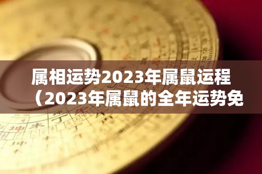 属相运势2023年属鼠运程（2023年属鼠的全年运势免费）