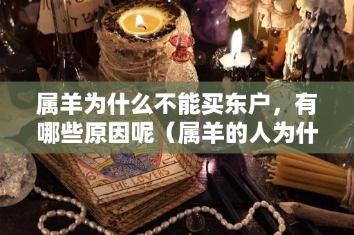 属羊为什么不能买东户，有哪些原因呢（属羊的人为什么不能养狗）