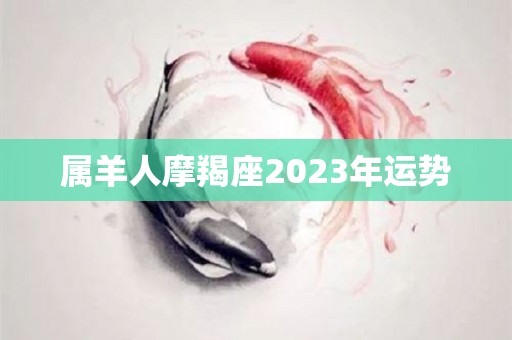 属羊人摩羯座2023年运势