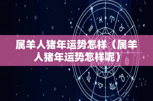 属羊人猪年运势怎样（属羊人猪年运势怎样呢）