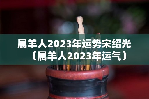 属羊人2023年运势宋绍光（属羊人2023年运气）