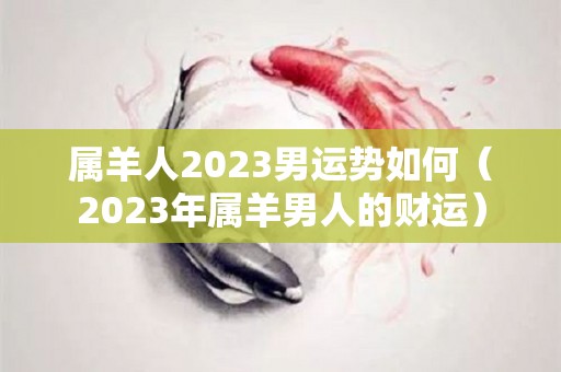 属羊人2023男运势如何（2023年属羊男人的财运）
