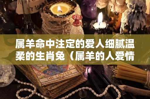 属羊命中注定的爱人细腻温柔的生肖兔（属羊的人爱情性格）