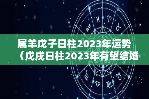 属羊戊子日柱2023年运势（戊戌日柱2023年有望结婚）