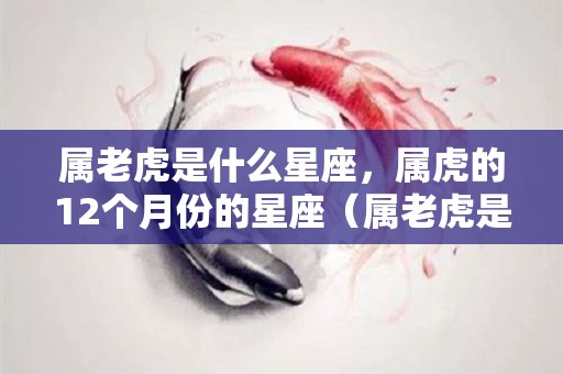 属老虎是什么星座，属虎的12个月份的星座（属老虎是什么星座,属虎的12个月份的星座是什么）