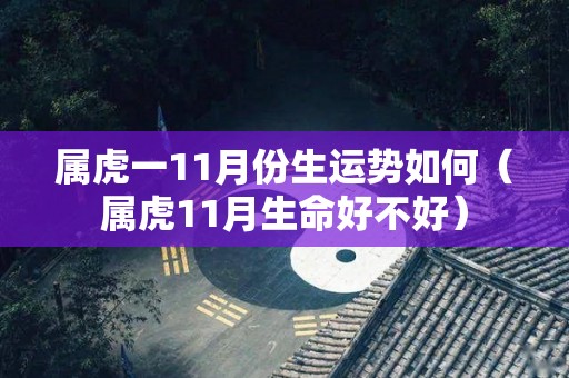 属虎一11月份生运势如何（属虎11月生命好不好）