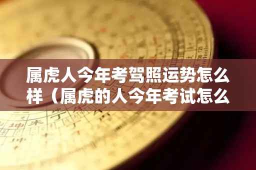 属虎人今年考驾照运势怎么样（属虎的人今年考试怎么样）