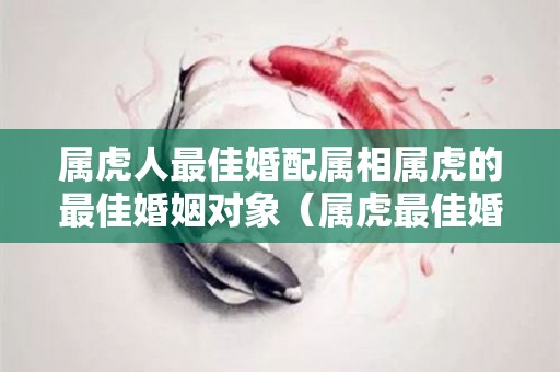 属虎人最佳婚配属相属虎的最佳婚姻对象（属虎最佳婚配属什么）