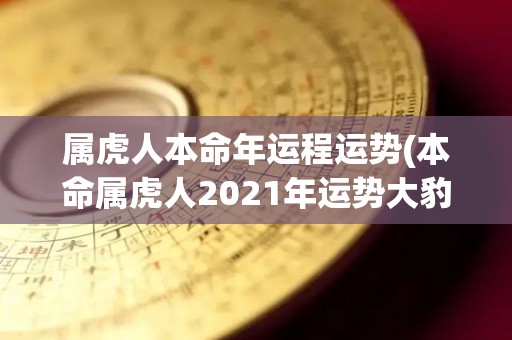 属虎人本命年运程运势(本命属虎人2021年运势大豹发！)