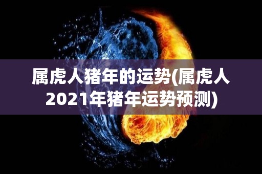 属虎人猪年的运势(属虎人2021年猪年运势预测)