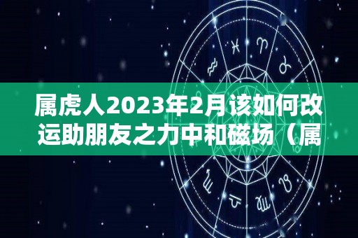 属虎人2023年2月该如何改运助朋友之力中和磁场（属虎人在2023年）
