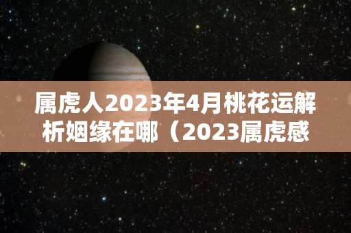 属虎人2023年4月桃花运解析姻缘在哪（2023属虎感情）